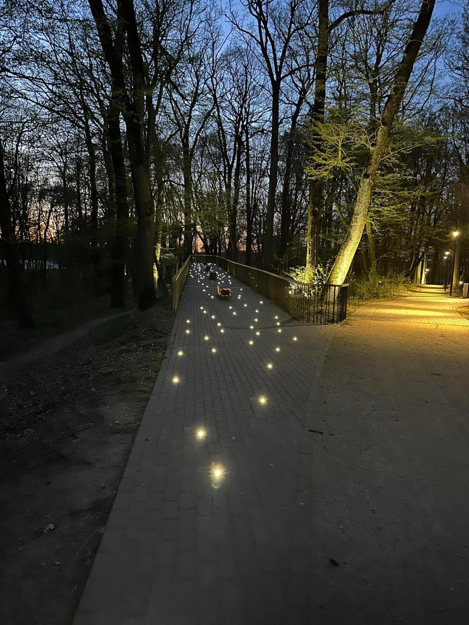 Natura Z Widokiem Na Jezioro * Ilawa