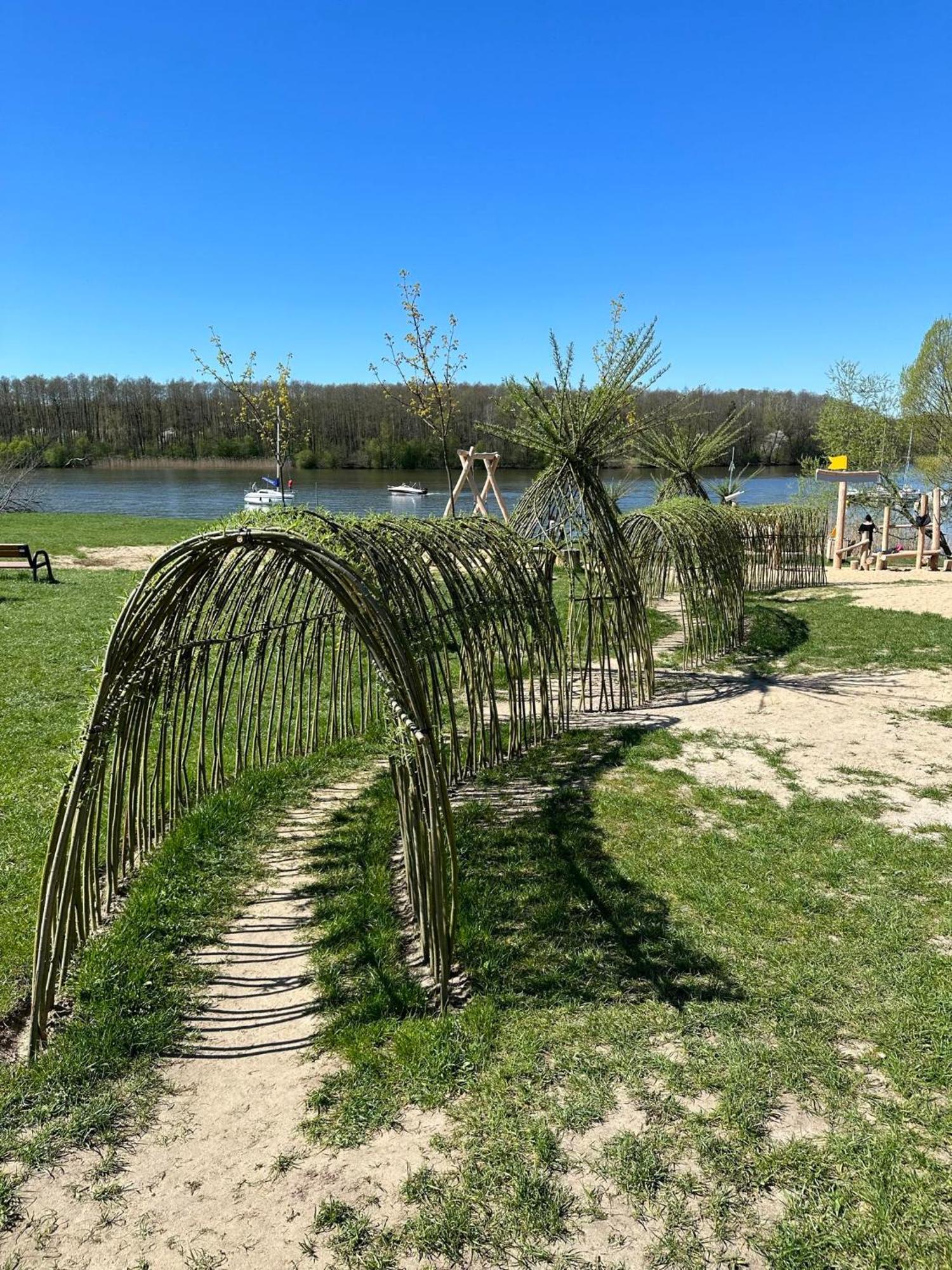 Natura Z Widokiem Na Jezioro *
