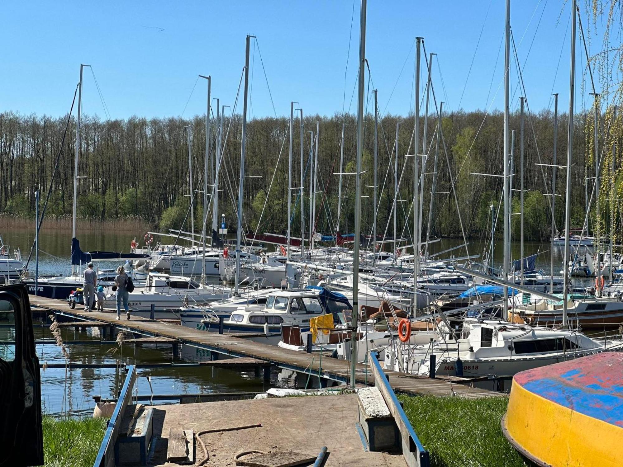 Natura Z Widokiem Na Jezioro