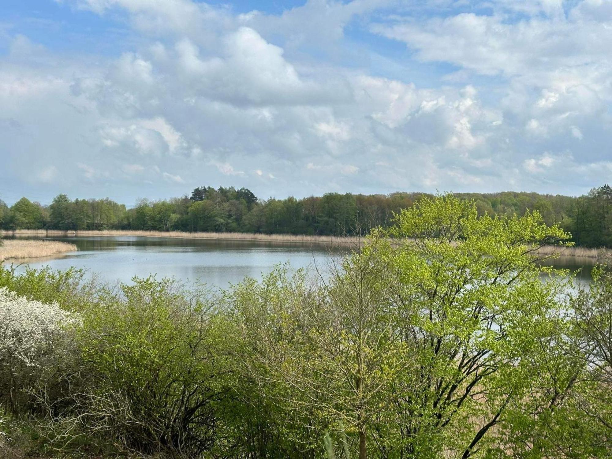 Natura Z Widokiem Na Jezioro Apartment Iława